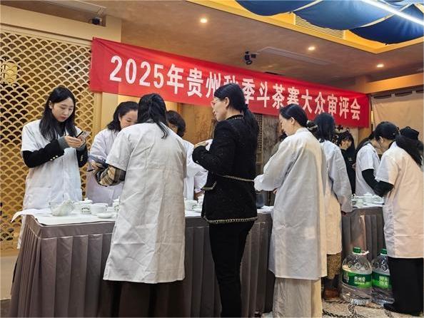 2025年貴州省秋季斗茶賽鳴鑼開賽，106只茶樣角逐“茶王”桂冠